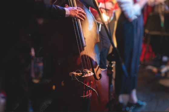 Contrabaixo Acústico