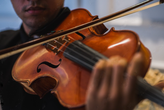 Viola de Arco