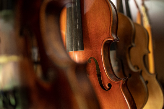 Violino