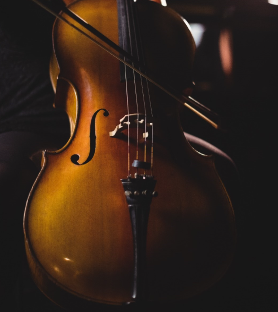 Violoncelo